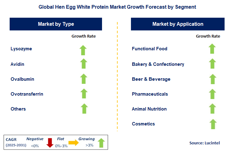 Hen Egg White Protein Market by Segment