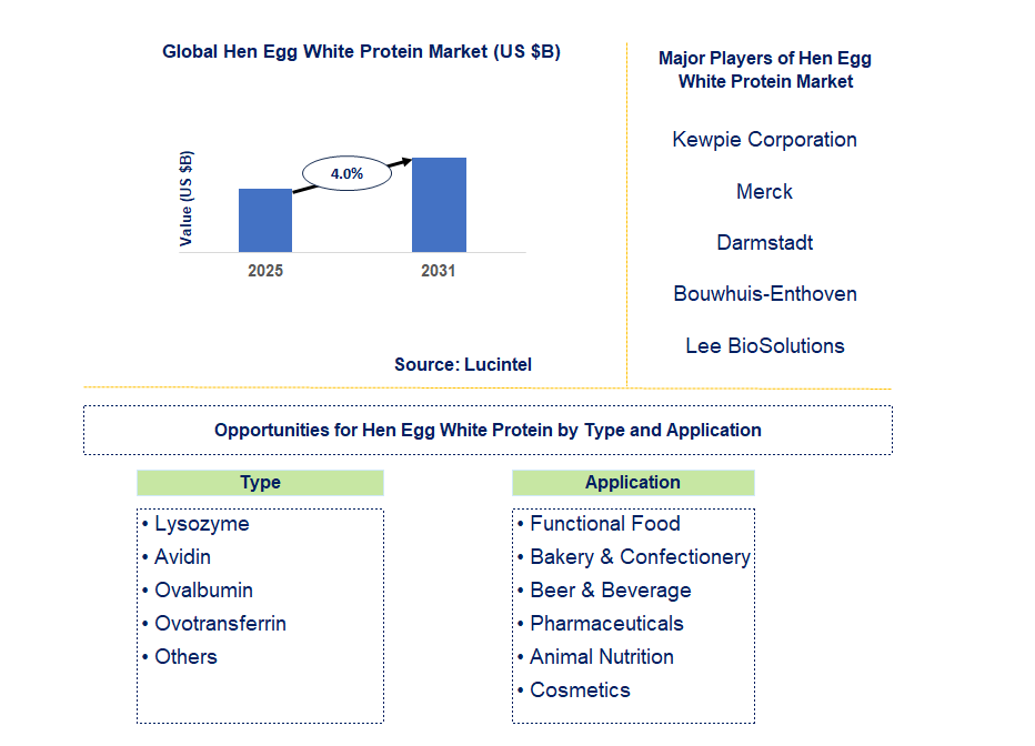 Hen Egg White Protein Market Trends and Forecast