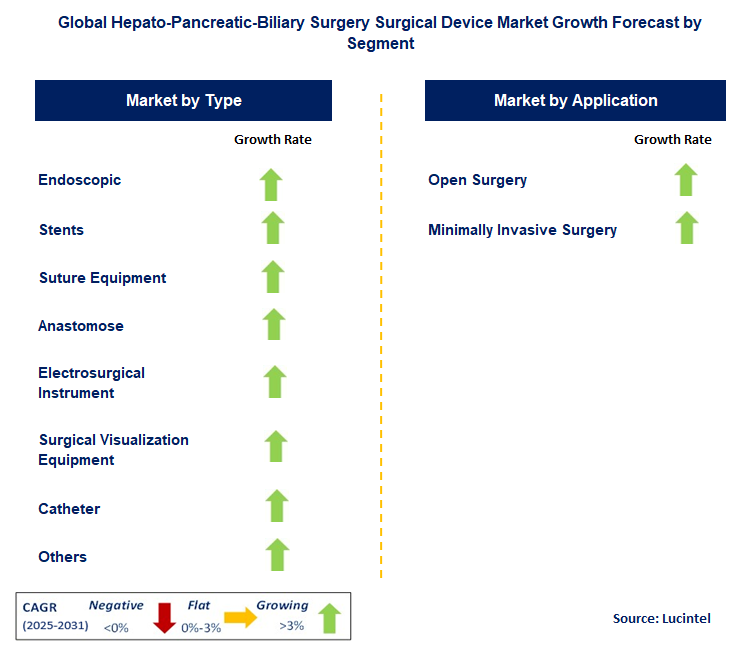 Hepato-Pancreatic-Biliary Surgery Surgical Device Market by Segment
