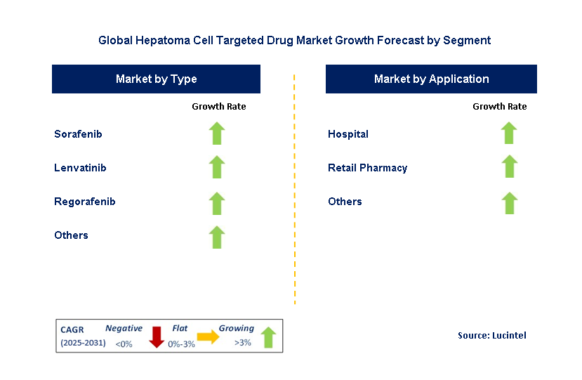 Hepatoma Cell Targeted Drug Market by Segment