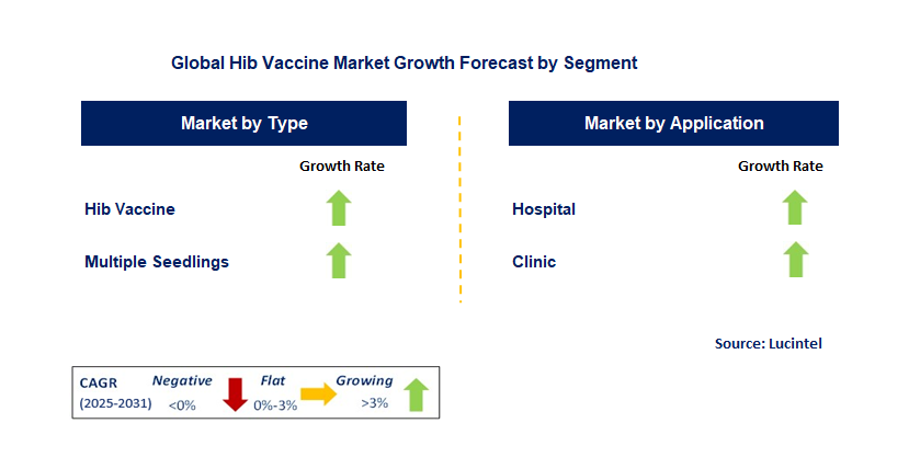 Hib Vaccine Market by Segment
