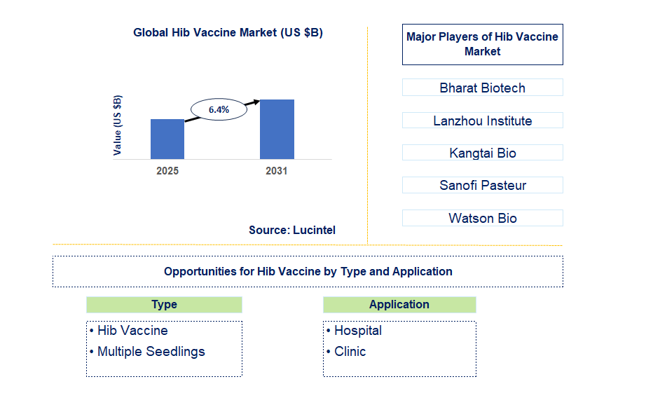 Hib Vaccine Market Trends and Forecast