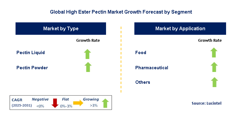 High Ester Pectin Market by Segment