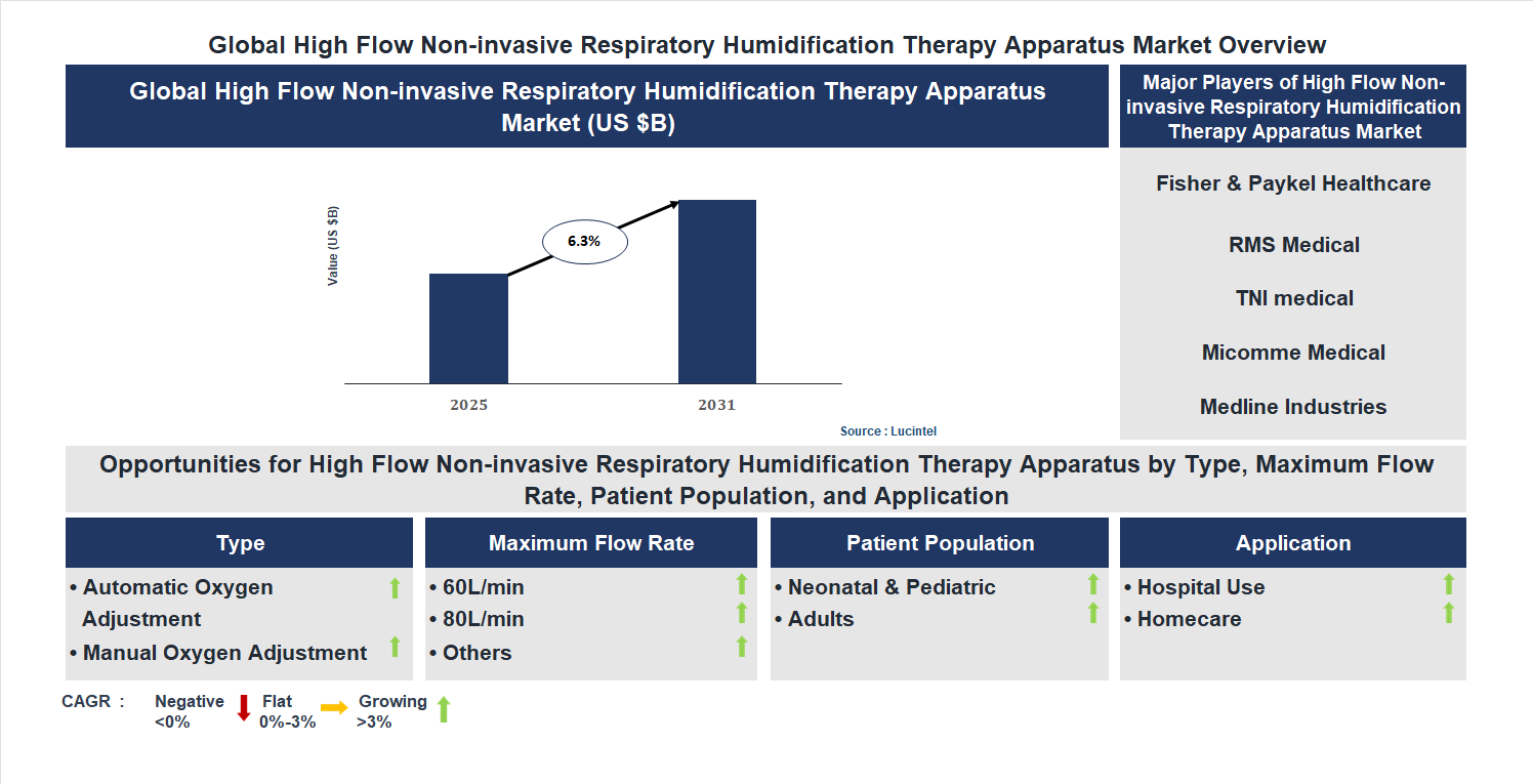High Flow Non-invasive Respiratory Humidification Therapy Apparatus Market Trends and Forecast
