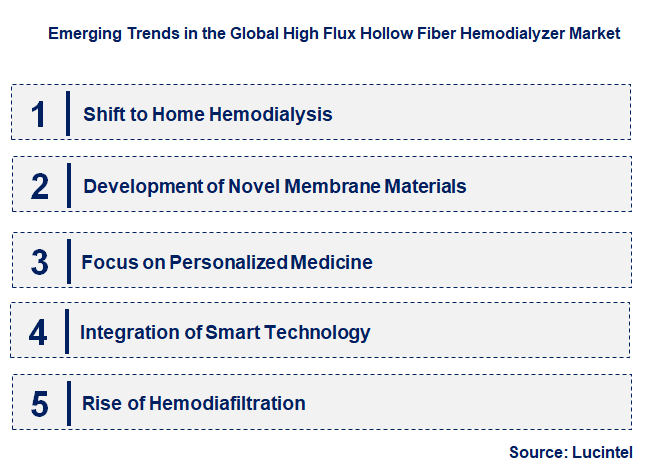 Emerging Trends in the High Flux Hollow Fiber Hemodialyzer Market