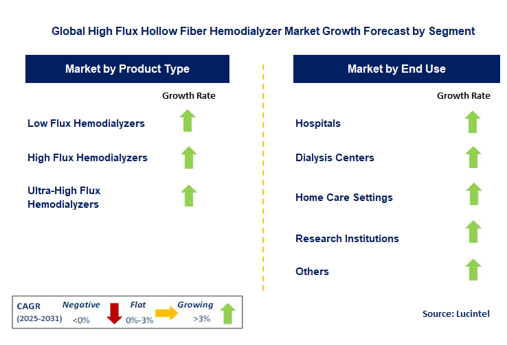 High Flux Hollow Fiber Hemodialyzer Market by Segment