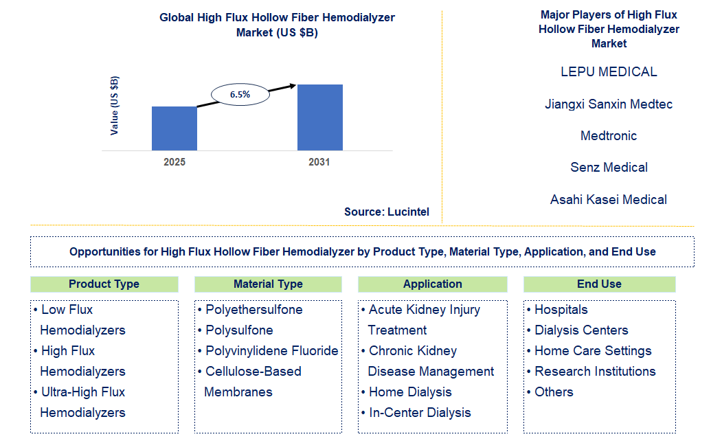 High Flux Hollow Fiber Hemodialyzer Market Trends and Forecast