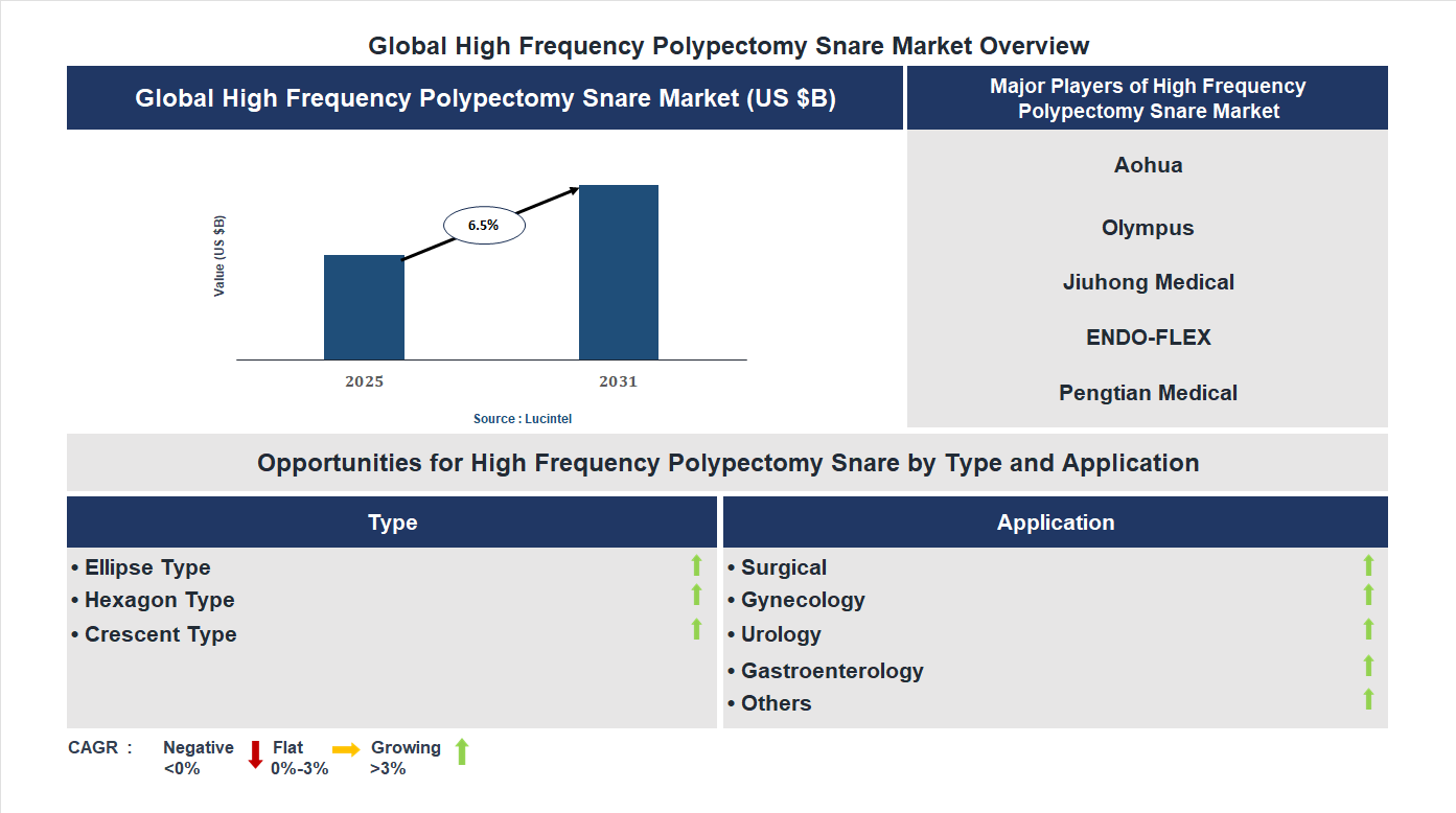 High Frequency Polypectomy Snare Market Trends and Forecast