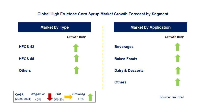 High Fructose Corn Syrup Market by Segment