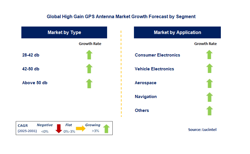 High Gain GPS Antenna Market by Segment