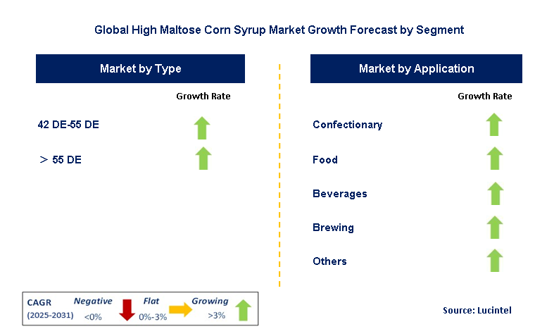 High Maltose Corn Syrup Market by Segment