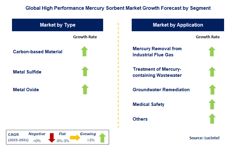 High Performance Mercury Sorbent Market by Segment