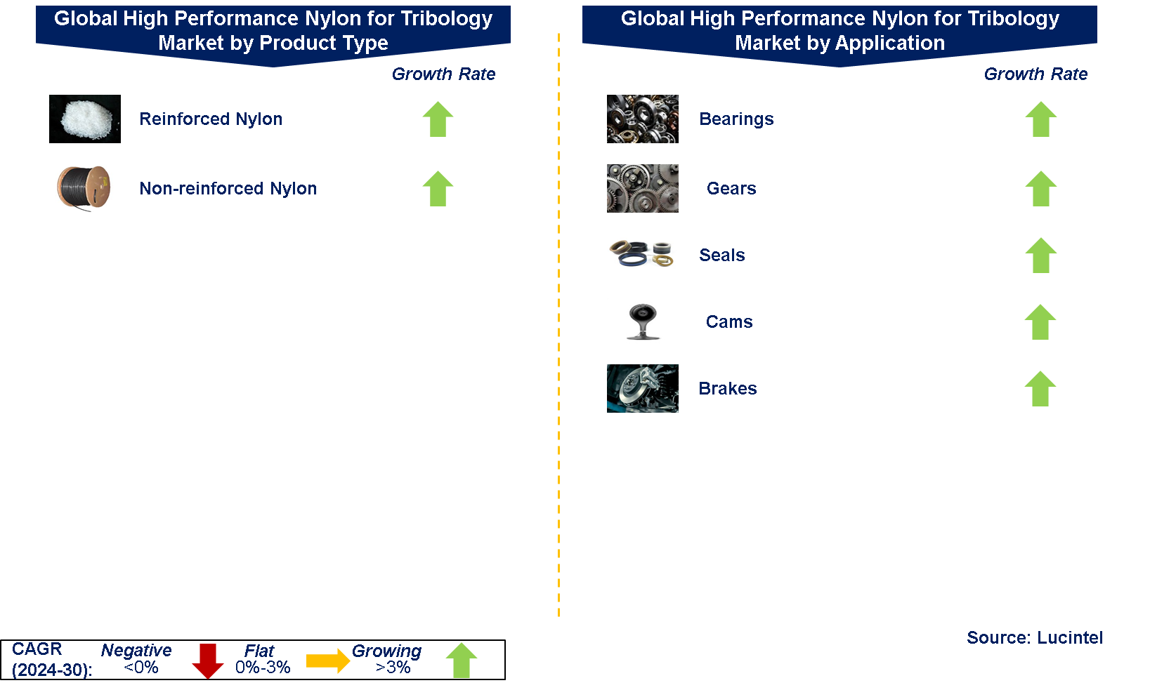 Global High Performance Nylon for Tribology Market by Segments