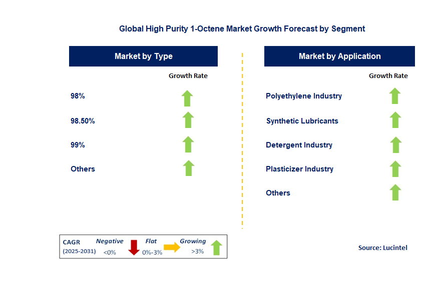 High Purity 1-Octene Market by Segment