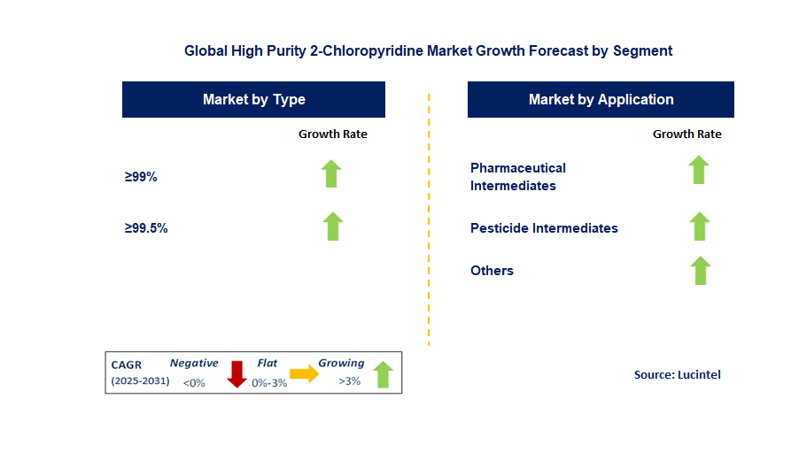 High Purity 2-Chloropyridine Market by Segment