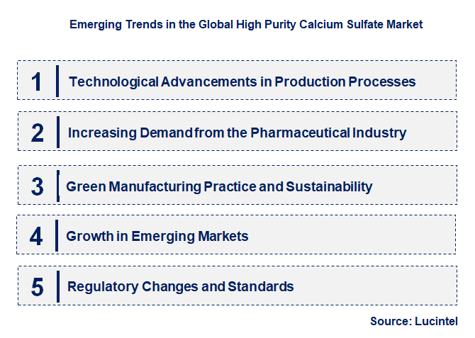Emerging Trends in the High Purity Calcium Sulfate Market