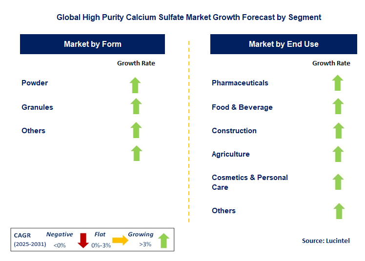 High Purity Calcium Sulfate Market by Segment