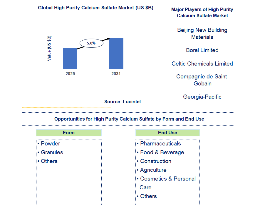 High Purity Calcium Sulfate Market Trends and Forecast