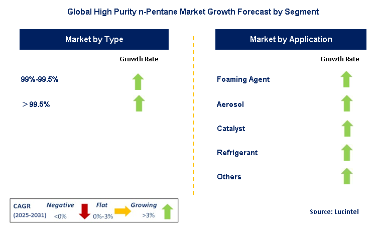 High Purity n-Pentane Market by Segment