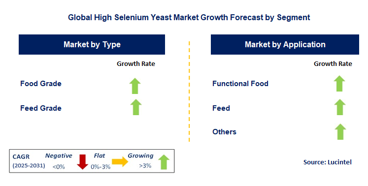High Selenium Yeast Market by Segment