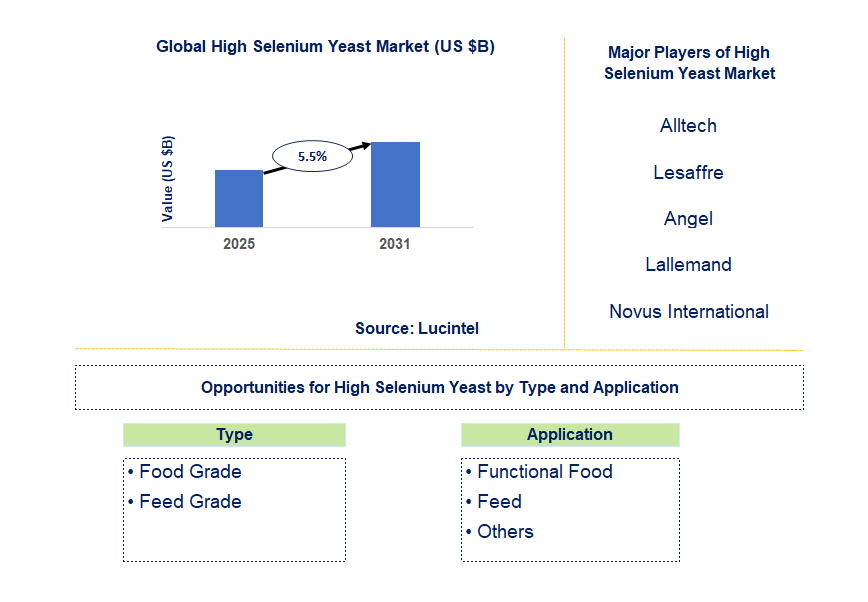 High Selenium Yeast Market Trends and Forecast