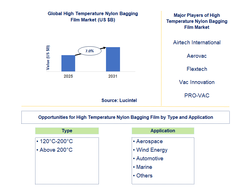 High Temperature Nylon Bagging Film Market Trends and Forecast