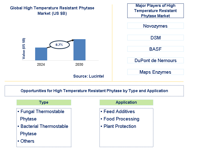 High Temperature Resistant Phytase Trends and Forecast