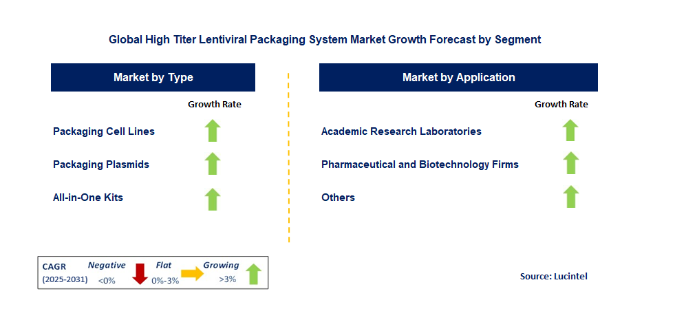 High Titer Lentiviral Packaging System Market by Segment