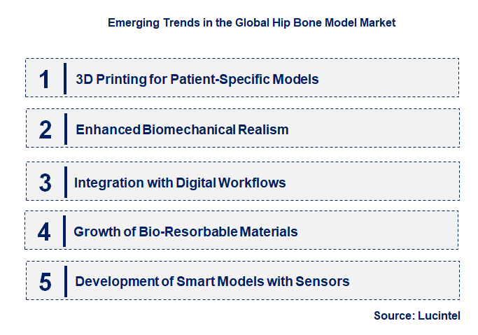 Emerging Trends in the Hip Bone Model Market