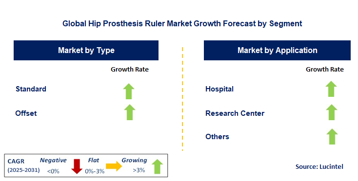 Hip Prosthesis Ruler Market by Segment