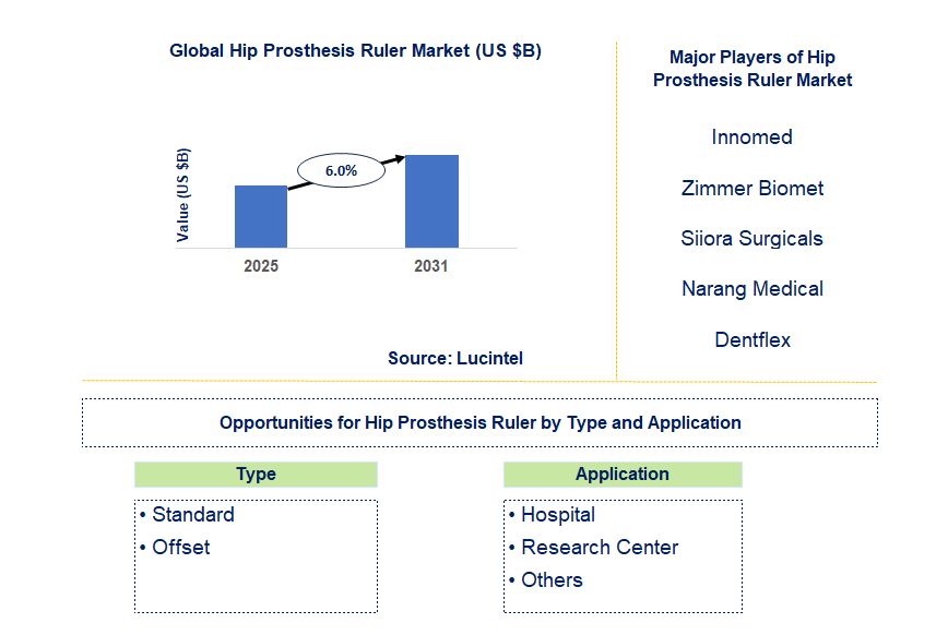 Hip Prosthesis Ruler Market Trends and Forecast