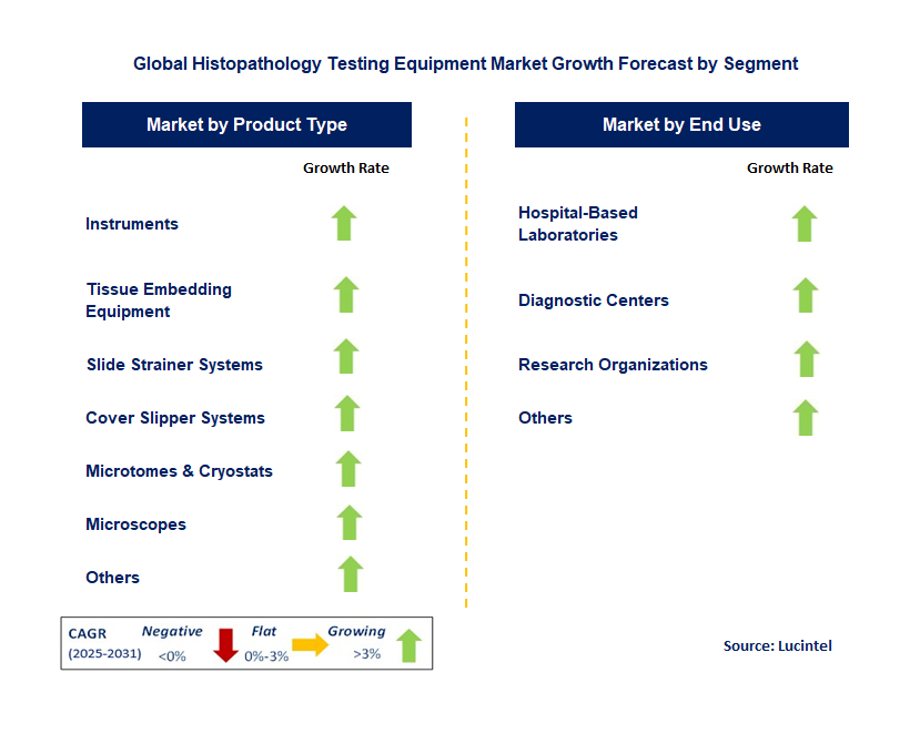 Histopathology Testing Equipment Market by Segment