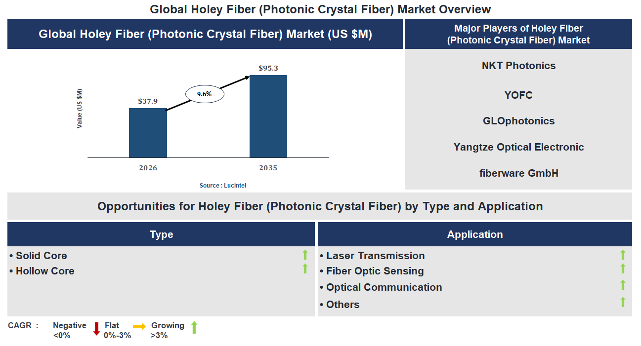 Holey Fiber (Photonic Crystal Fiber) Market Trends and Forecast