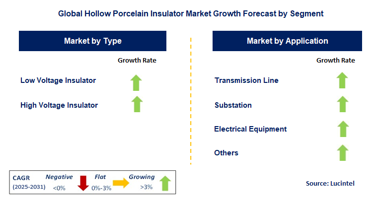 Hollow Porcelain Insulator Market by Segment