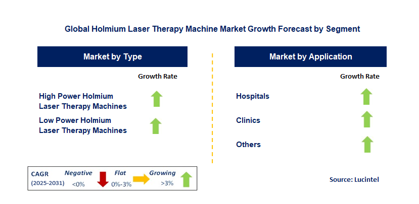 Holmium Laser Therapy Machine Market by Segment