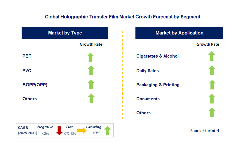 Holographic Transfer Film Market by Segment