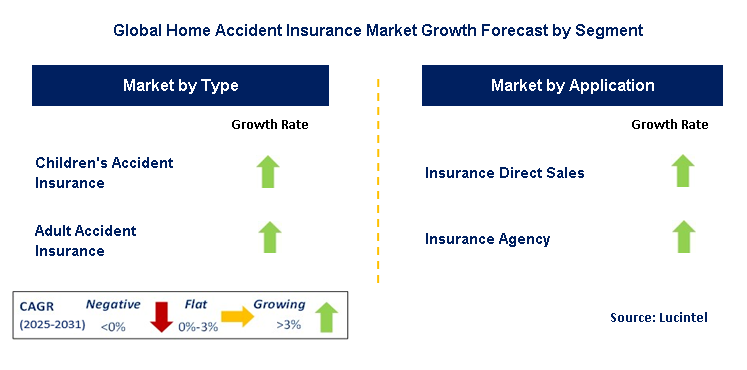 Home Accident Insurance Market by Segment