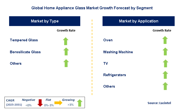 Home Appliance Glass Market by Segment