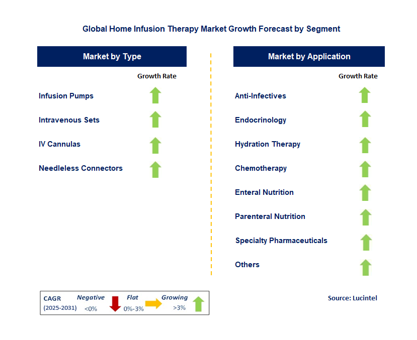 Home Infusion Therapy Market by Segment