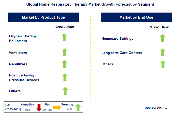 Home Respiratory Therapy Market by Segment