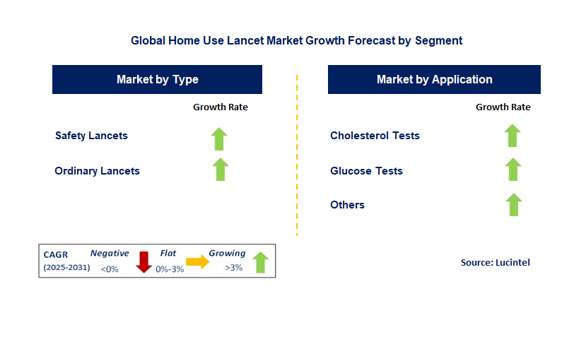 Home Use Lancet Market by Segment