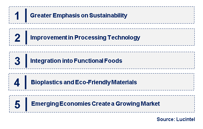 Emerging Trends in the Honge Seed Market