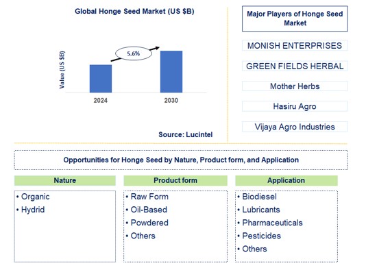 Honge Seed Trends and Forecast