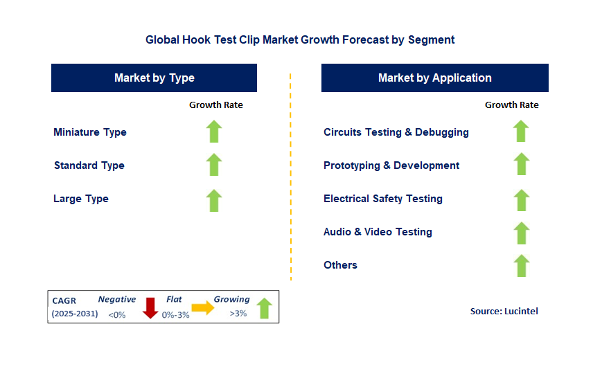 Hook Test Clip Market by Segment