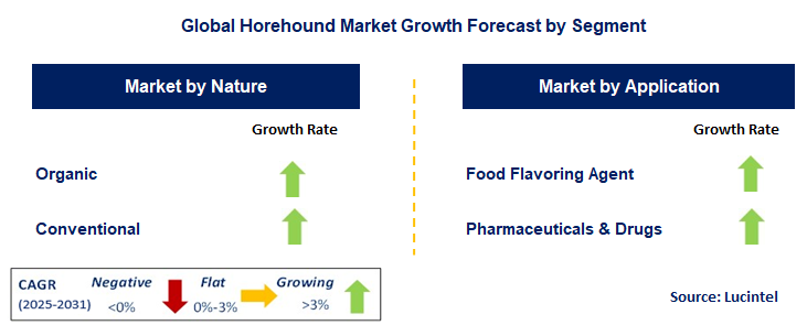 Horehound Market by Segment