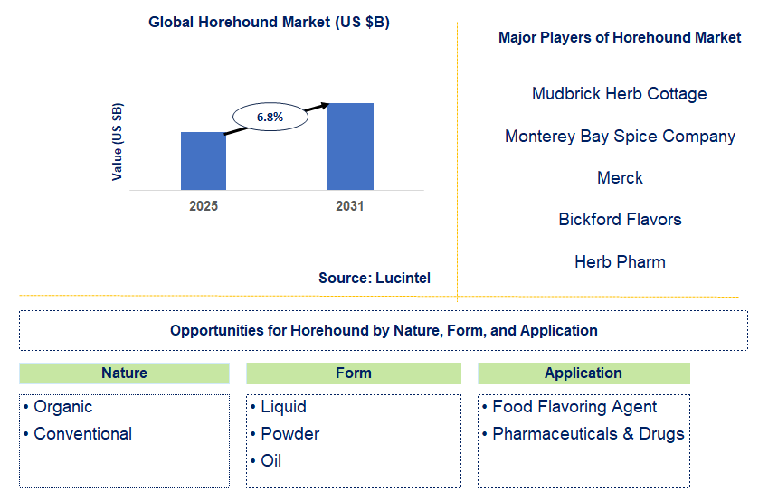 Horehound Market Trends and Forecast