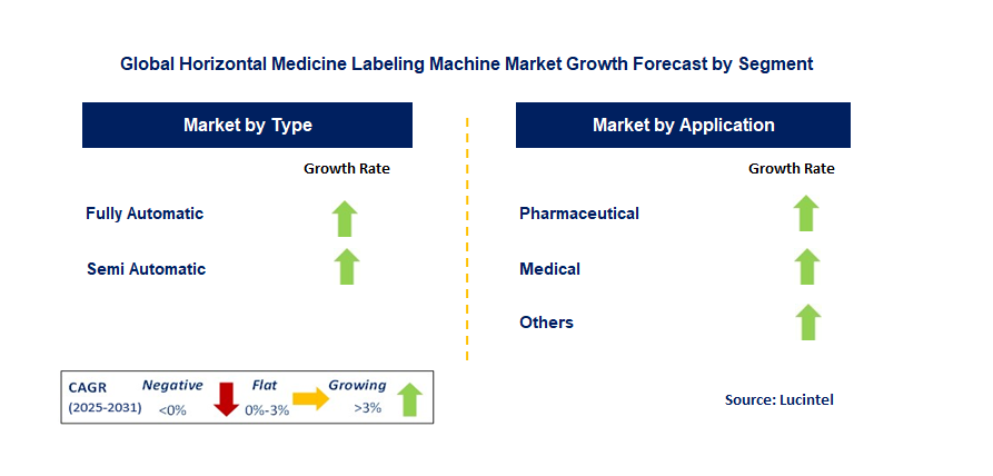 Horizontal Medicine Labeling Machine Market by Segment