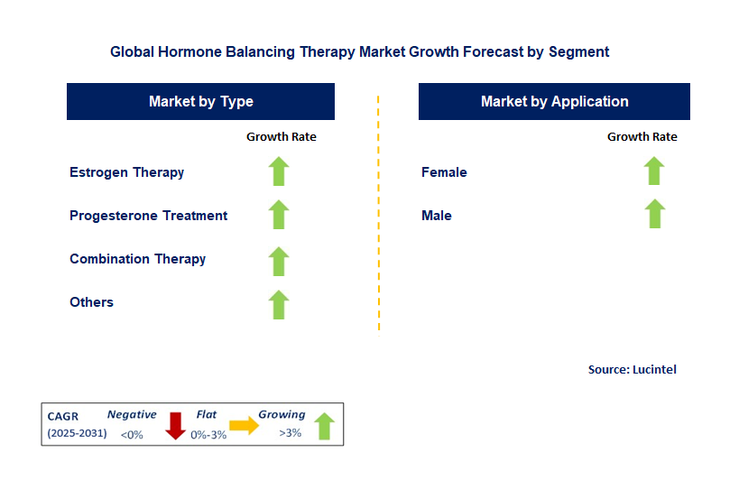 Hormone Balancing Therapy Market by Segment