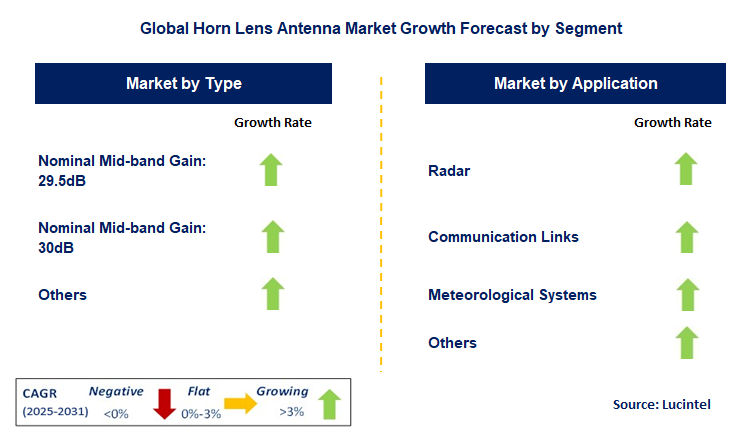 Horn Lens Antenna Market by Segment