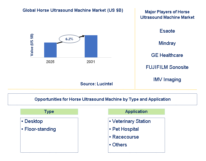 Horse Ultrasound Machine Market Trends and Forecast